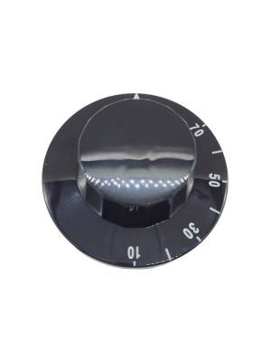 BOTÃO ORIGINAL TERMOSTATO 2001