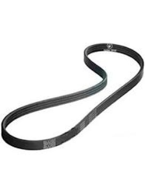 CORREIA WANKE MARINA 3JMA803 - M619